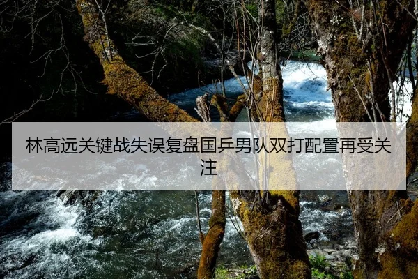 林高远关键战失误复盘国乒男队双打配置再受关注